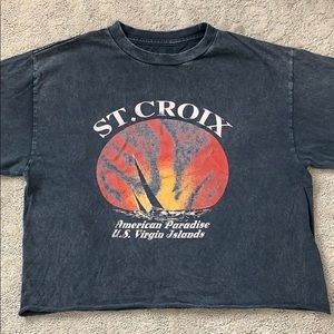 John Galt/Brandy Melville St. Croix Cropped Tee